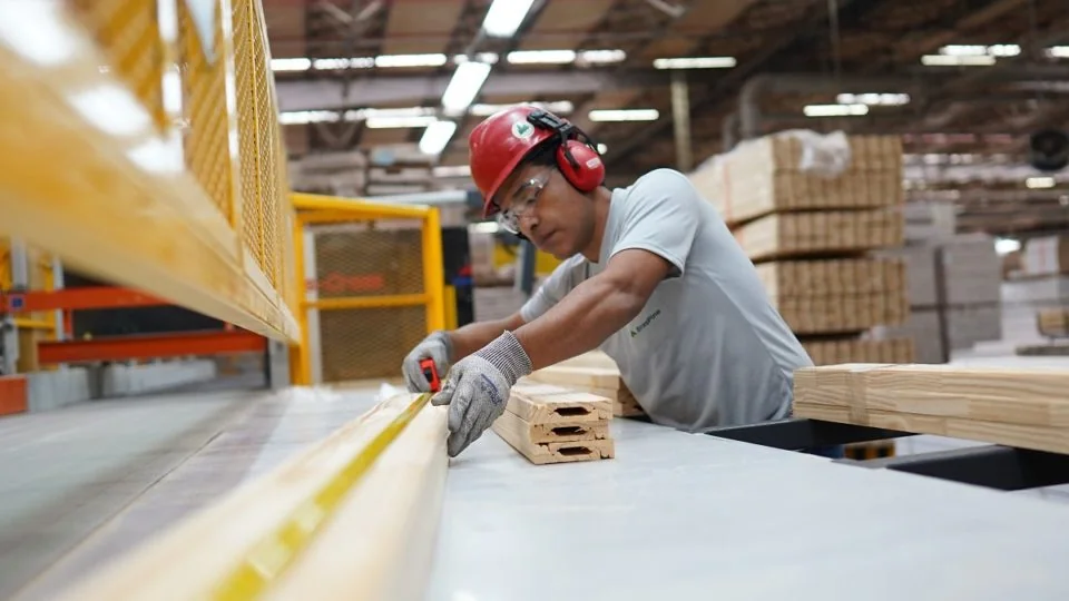 BrasPine abre vagas de emprego pelo país; veja os cargos